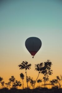 Embrace the Wild Ride: Flying Hot Air Balloon above Palm Trees